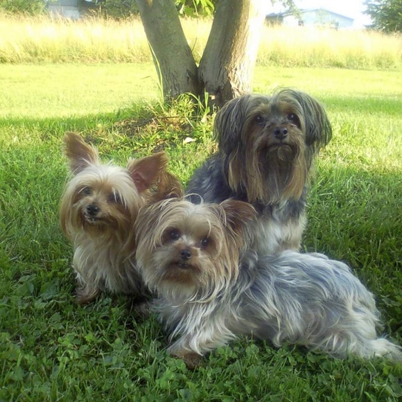 Meet your Posher, Charlene - Picture 1 of 1